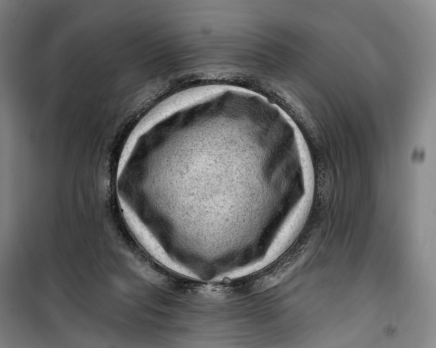 X0000099450261200805301519