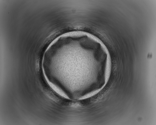 X0000099450262200805301519