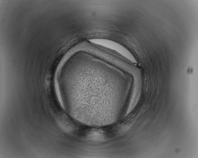 X0000099450263200805301519