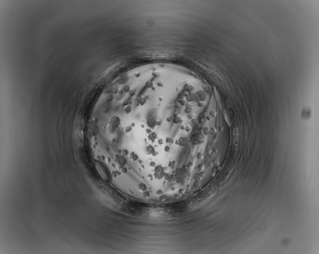 X0000099450264200805301519