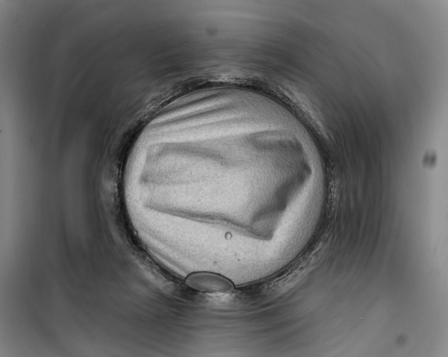 X0000099450265200805301519