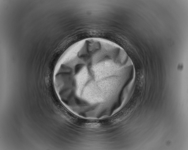 X0000099450266200805301519