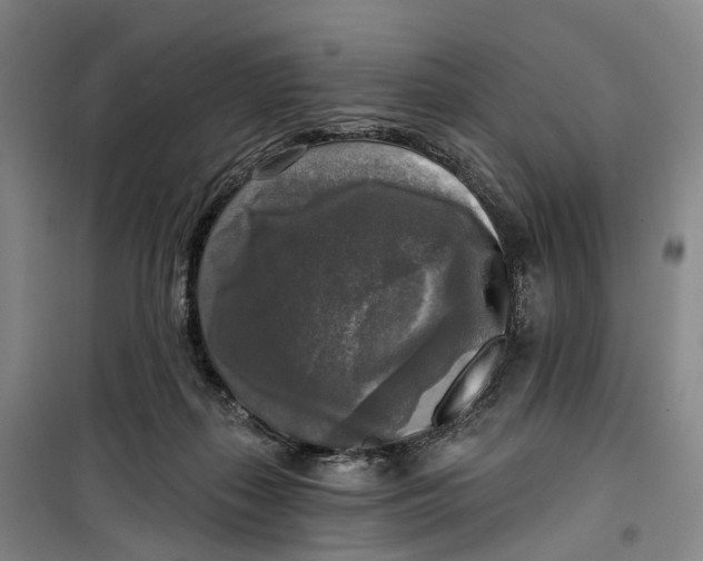 X0000099450267200805301519