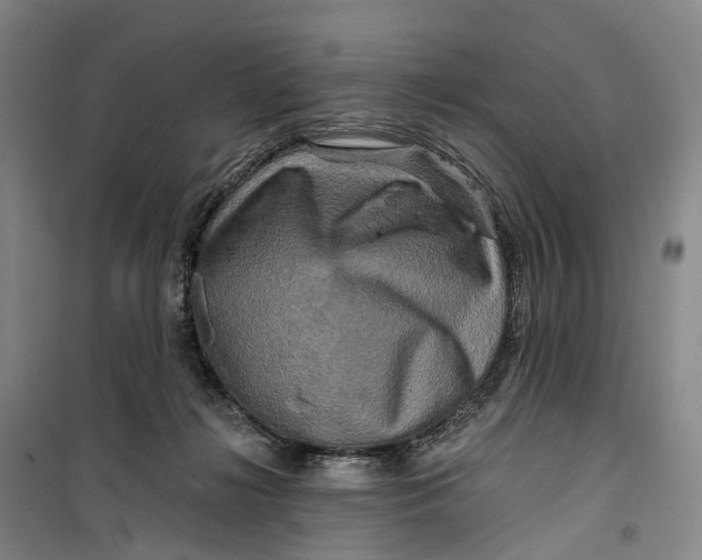 X0000099450268200805301519