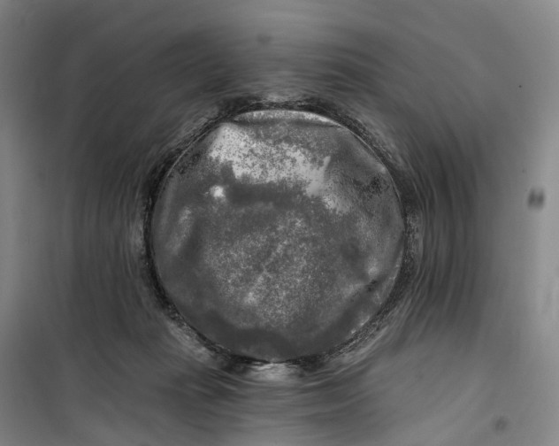 X0000099450269200805301519