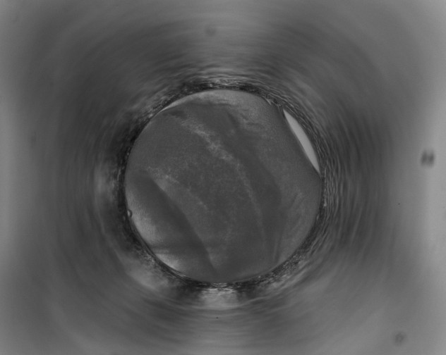 X0000099450271200805301519