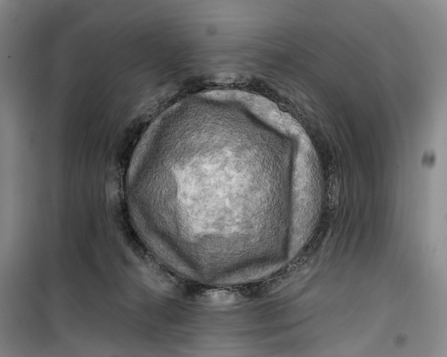 X0000099450272200805301519