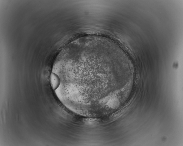 X0000099450273200805301519