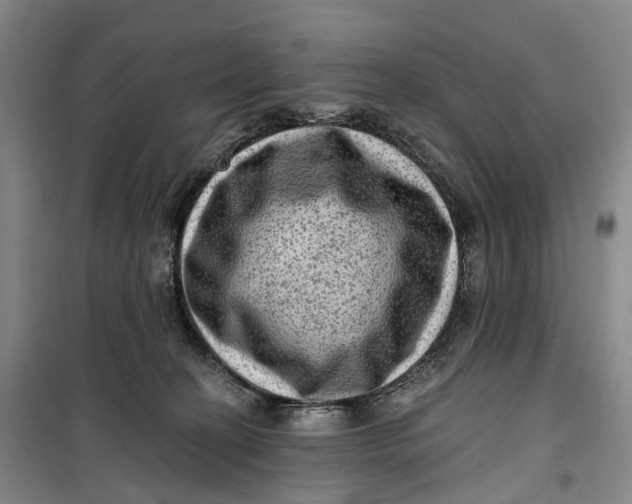 X0000099450274200805301519