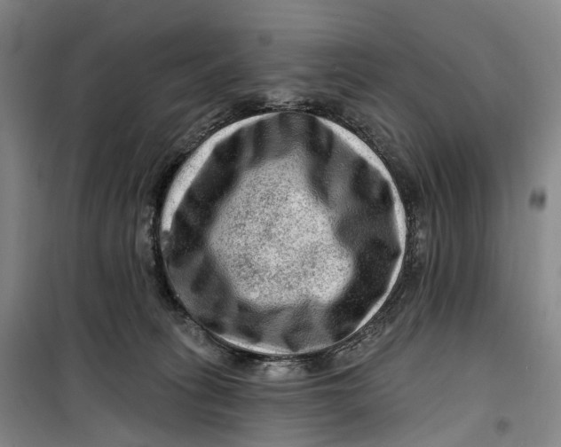 X0000099450275200805301519