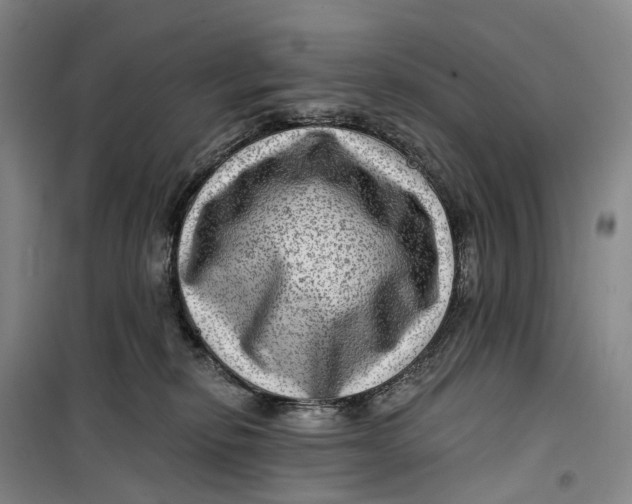 X0000099450278200805301519