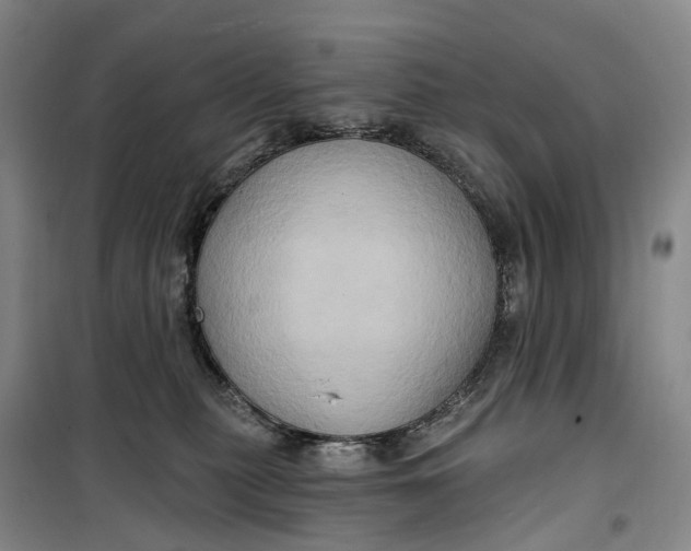 X0000099450279200805301519