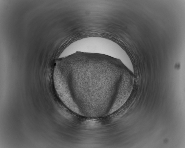 X0000099450280200805301519