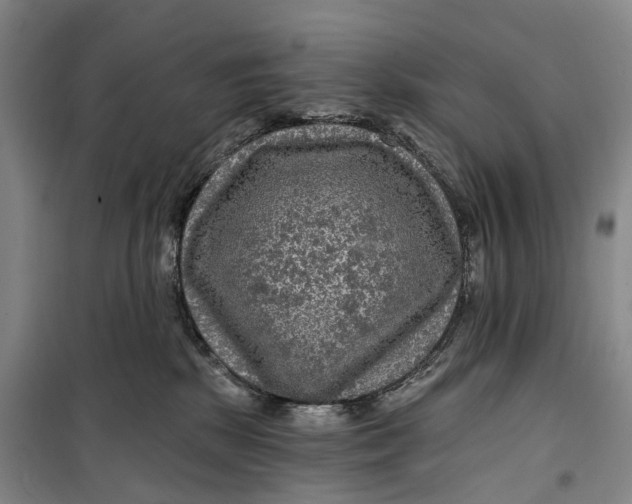 X0000099450281200805301519