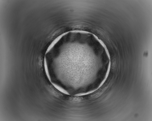 X0000099450282200805301519