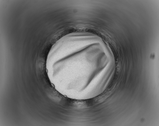 X0000099450283200805301519