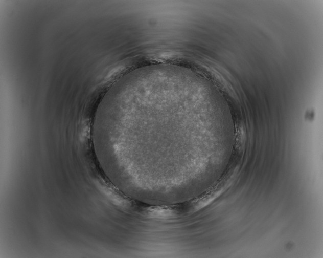 X0000099450284200805301519