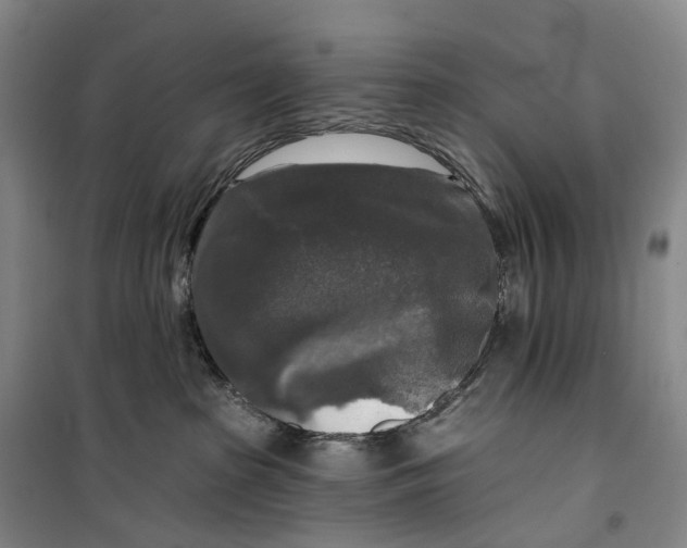 X0000099450285200805301519