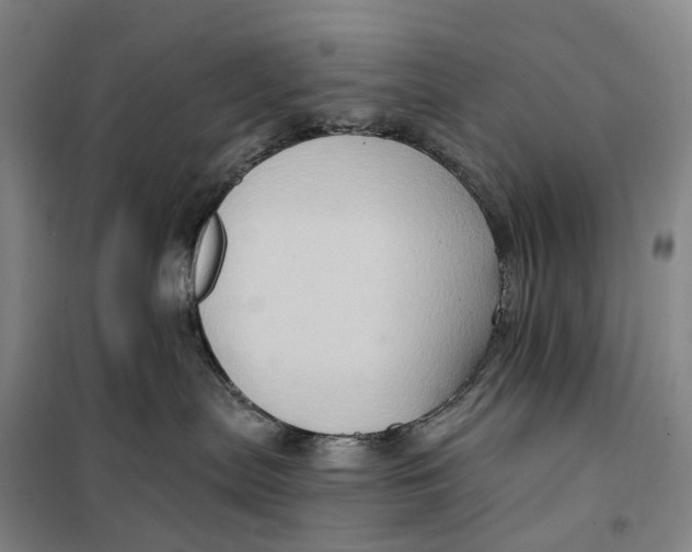 X0000099450287200805301519