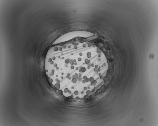 X0000099450288200805301519