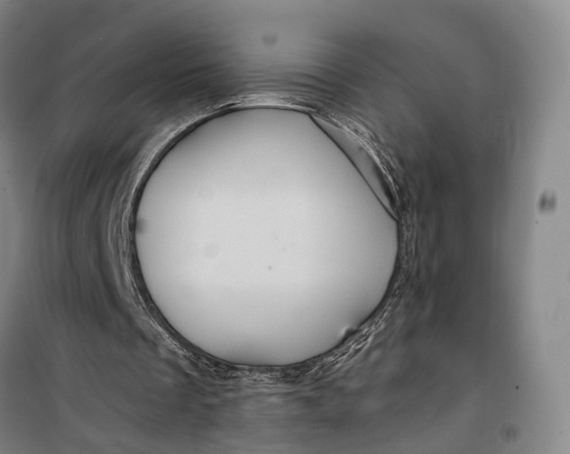 X0000099450289200805301519