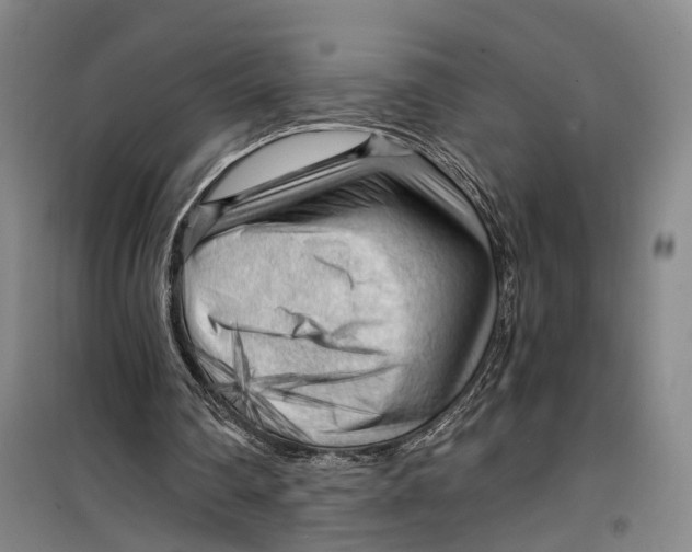 X0000099450290200805301519