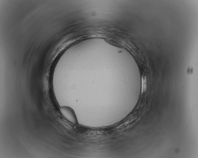 X0000099450291200805301519