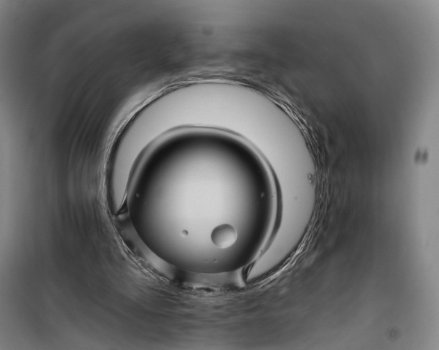 X0000099450293200805301519