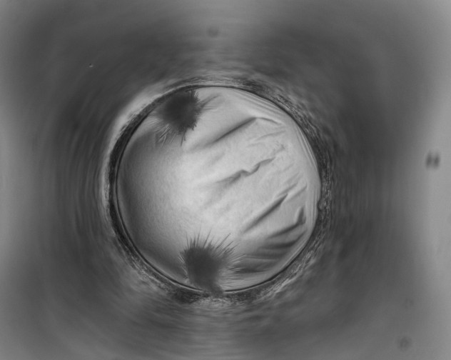 X0000099450294200805301519