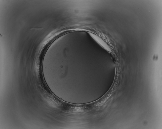 X0000099450295200805301519