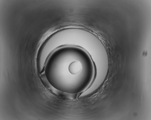 X0000099450296200805301519