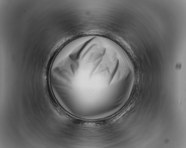 X0000099450298200805301519