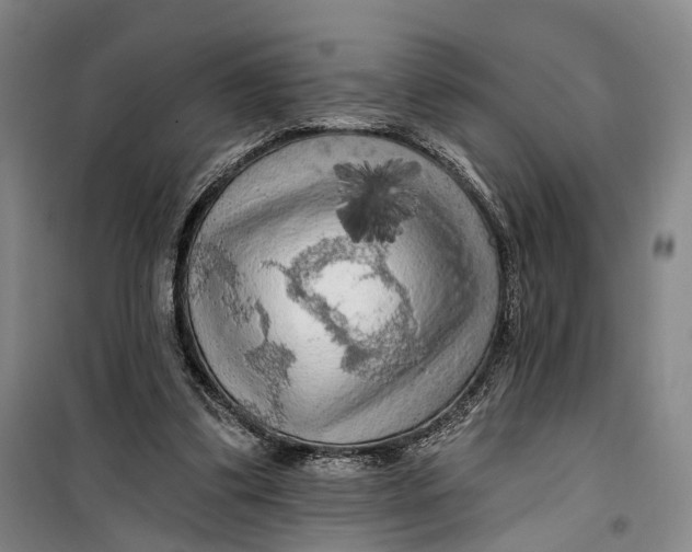 X0000099450299200805301518