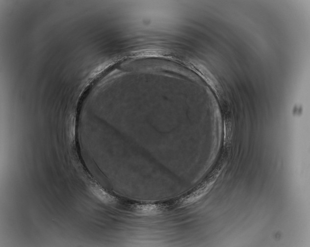 X0000099450301200805301518