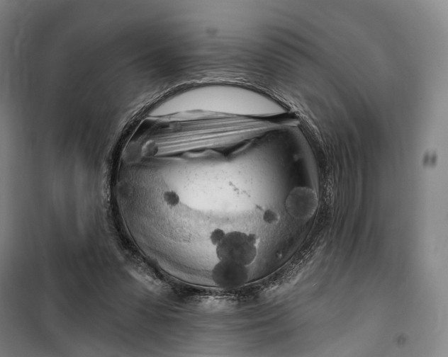 X0000099450303200805301518