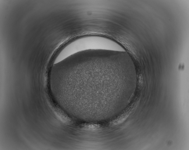 X0000099450304200805301518