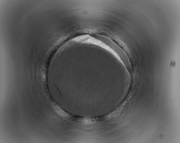 X0000099450305200805301518