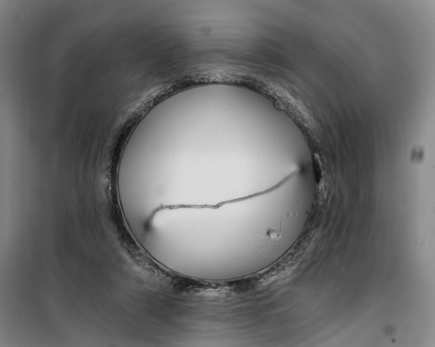 X0000099450306200805301518