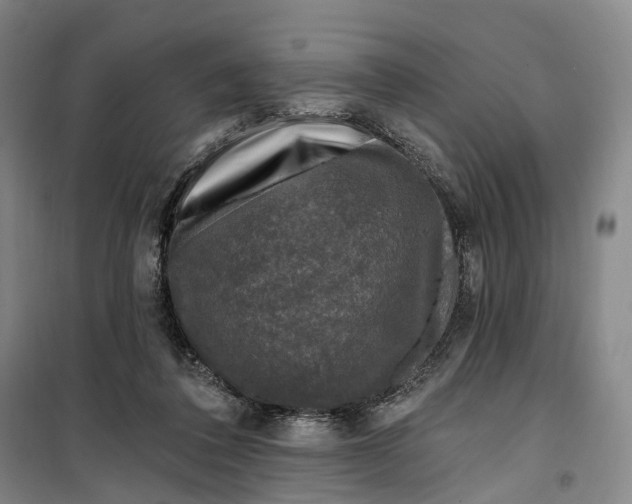 X0000099450308200805301518