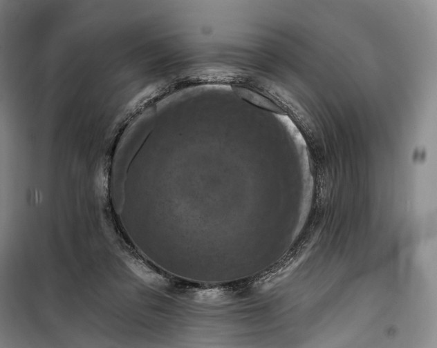 X0000099450309200805301518