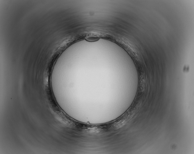 X0000099450310200805301518