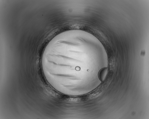 X0000099450314200805301518