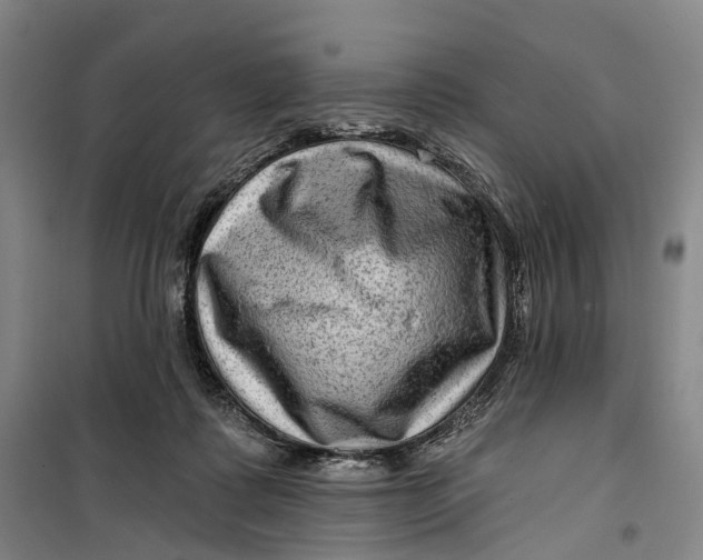 X0000099450315200805301518