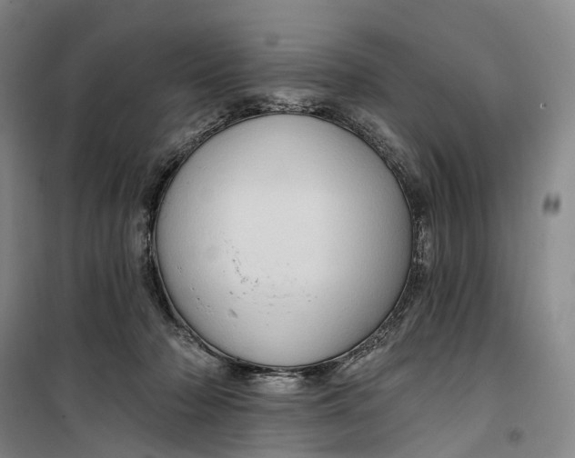 X0000099450318200805301518