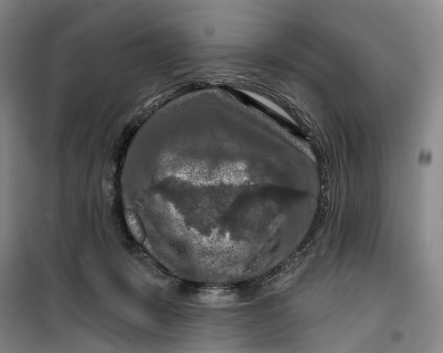 X0000099450319200805301518