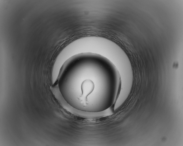 X0000099450320200805301518