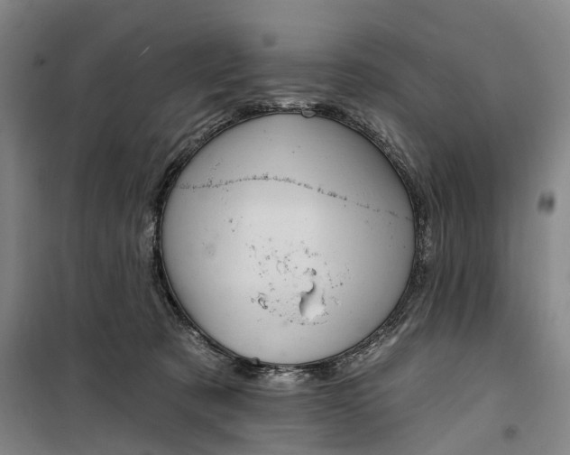 X0000099450321200805301518