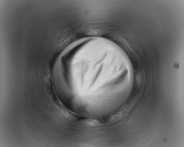 X0000099450322200805301518