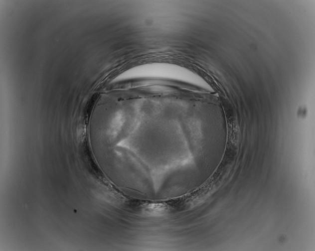 X0000099450324200805301518