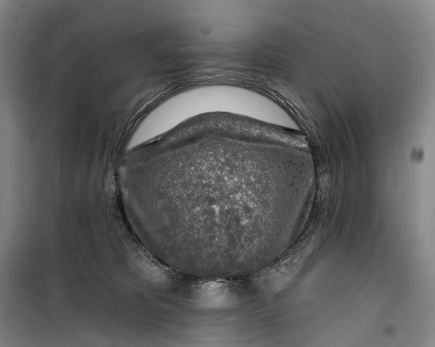 X0000099450325200805301518